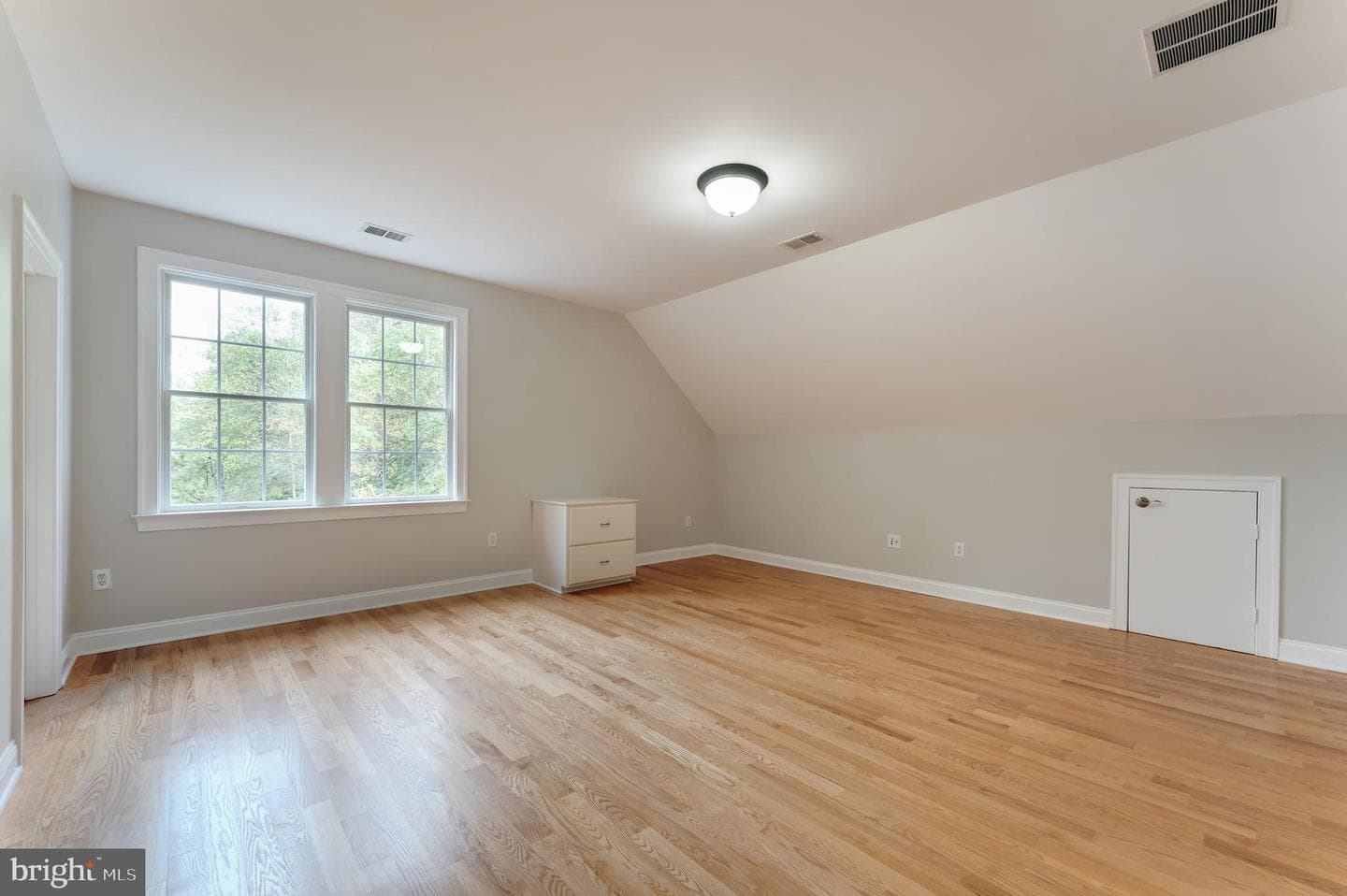 12197 Wild Horse Drive photo 49