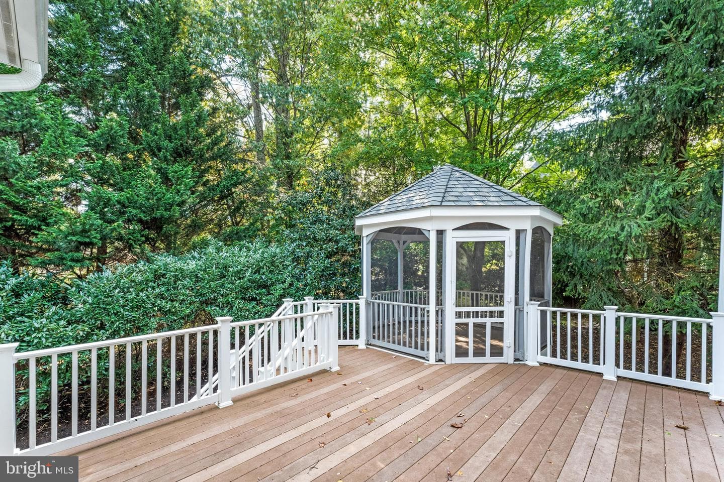 12197 Wild Horse Drive photo 62