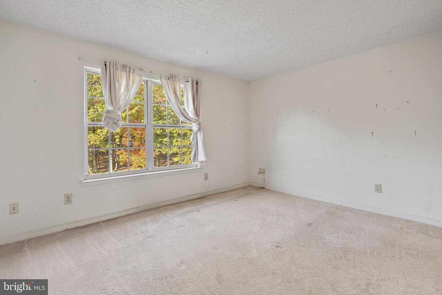 12100 Green Leaf Court #301 photo 15