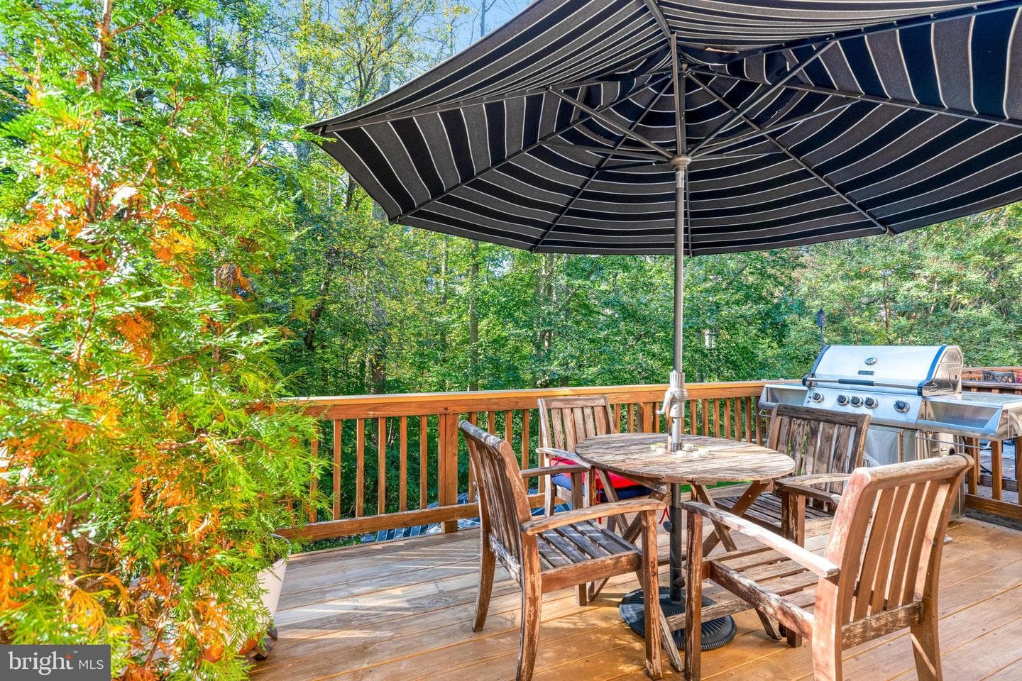 7714 Shootingstar Drive photo 35