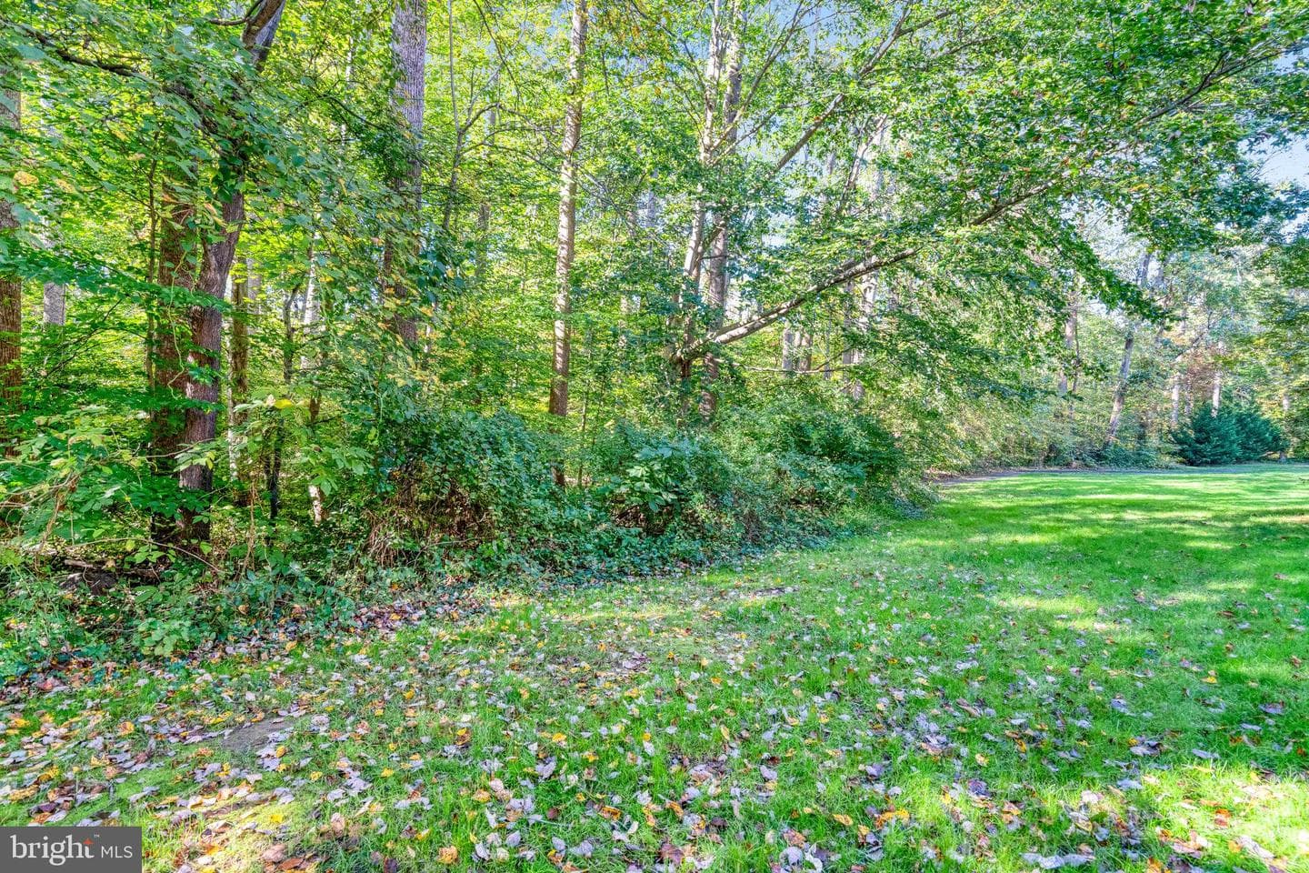 7714 Shootingstar Drive photo 40
