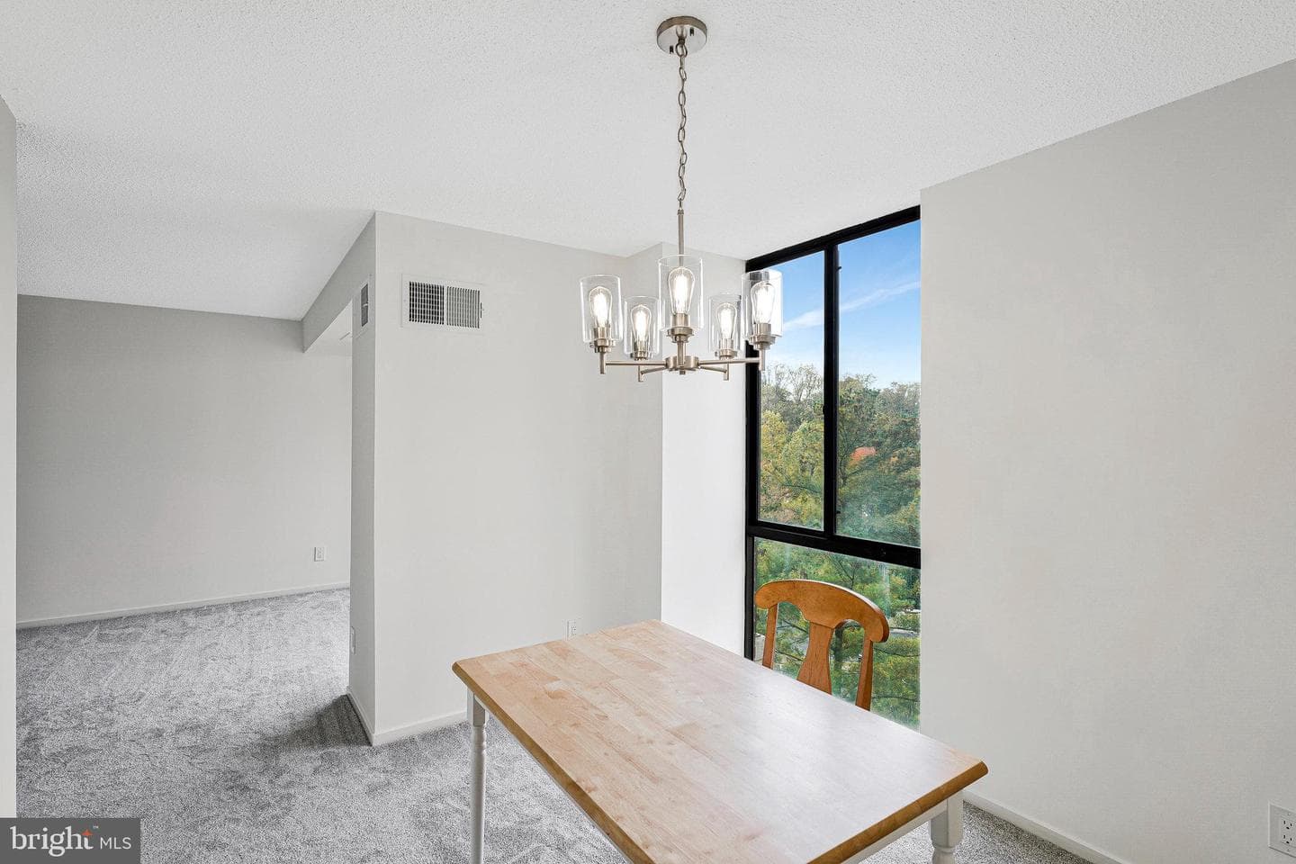 2300 Pimmit Drive #919 photo 10