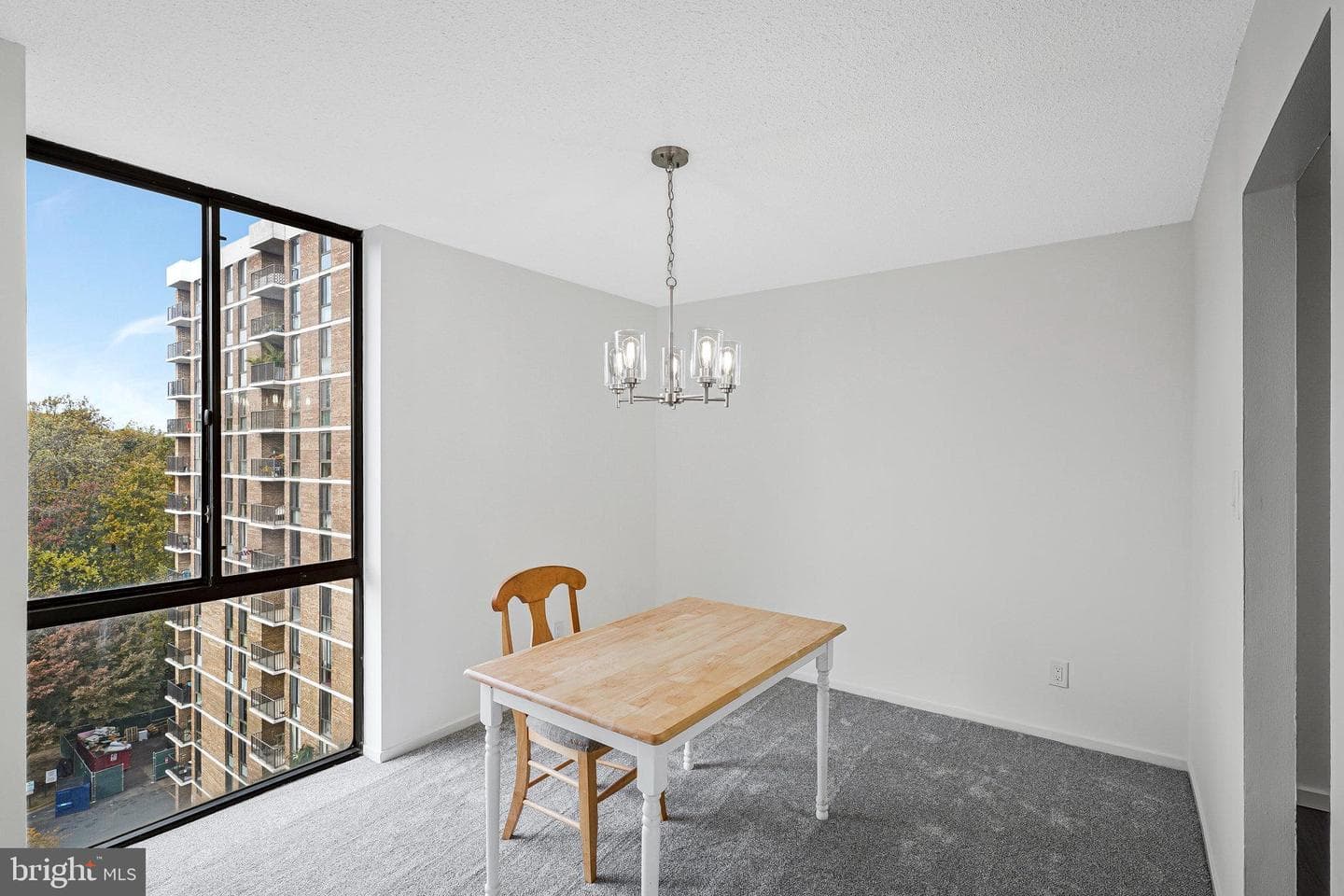 2300 Pimmit Drive #919 photo 11