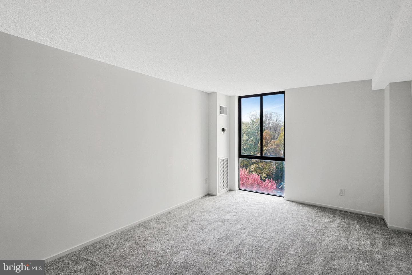 2300 Pimmit Drive #919 photo 8