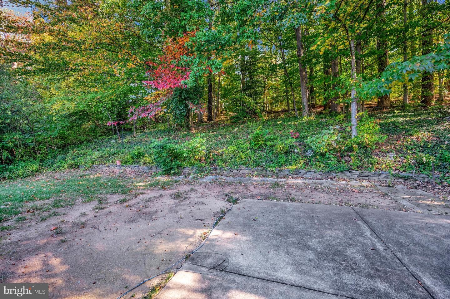 6507 Byron Avenue photo 44