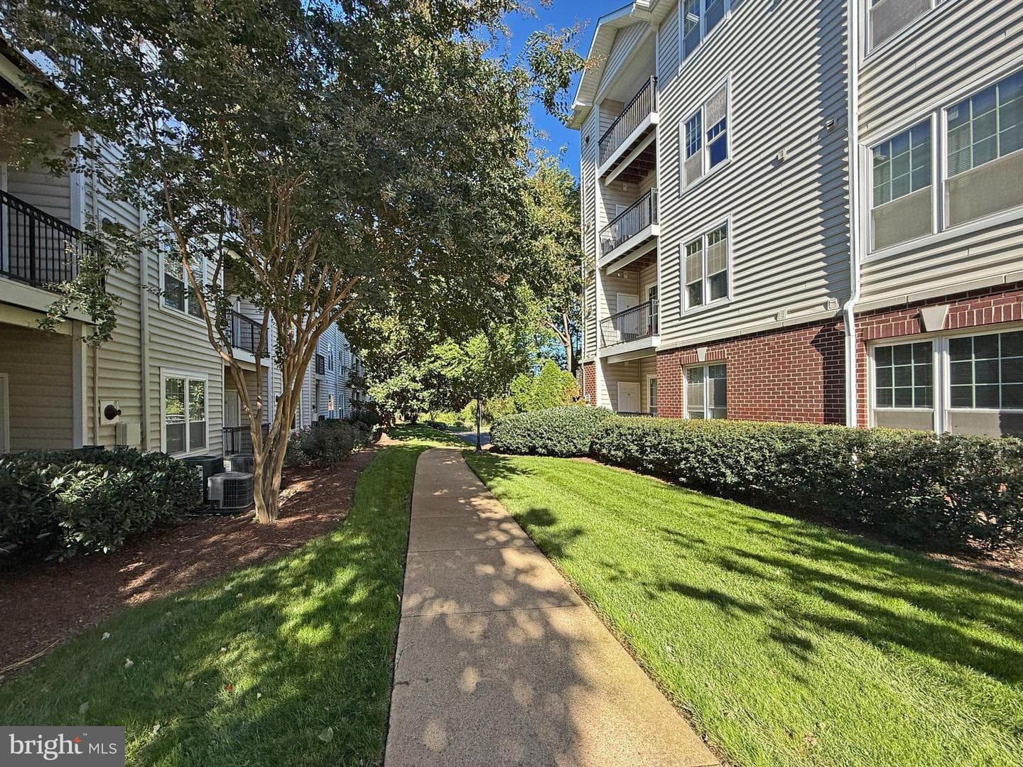 1580 Spring Gate Drive #4204 photo 21