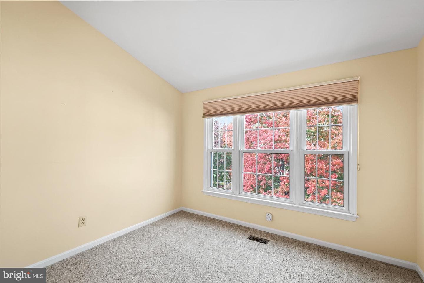8019 Tanworth Court photo 20