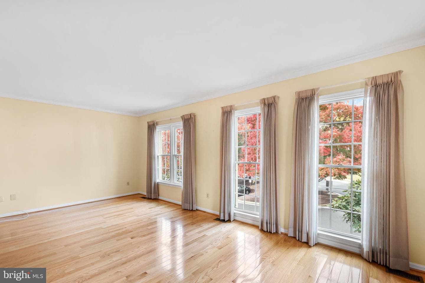 8019 Tanworth Court photo 7