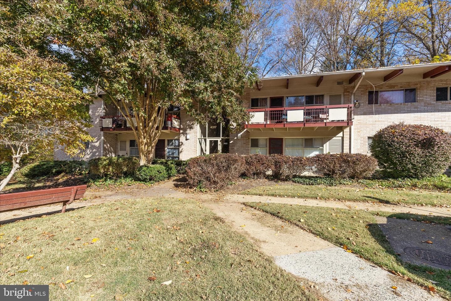 4317 Americana Drive #203 photo 1