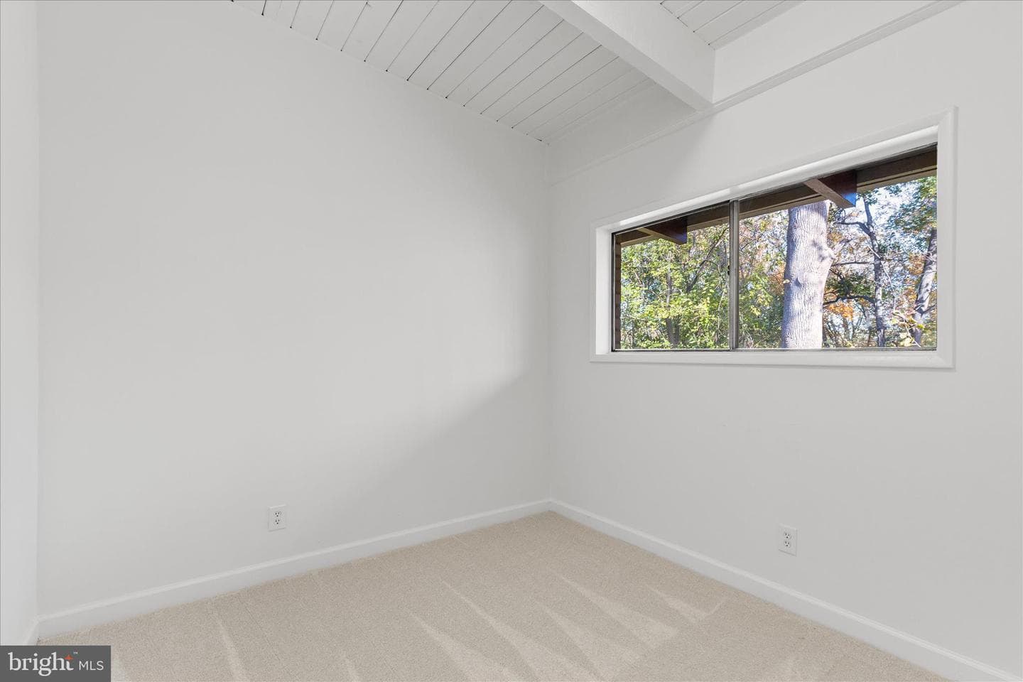 4317 Americana Drive #203 photo 13