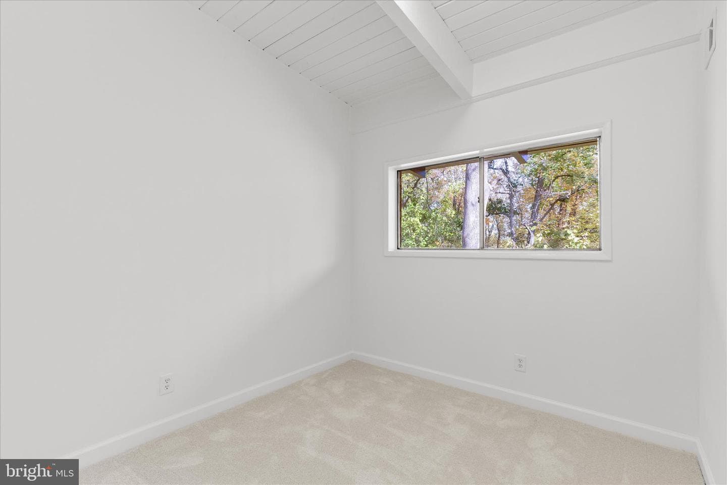 4317 Americana Drive #203 photo 20