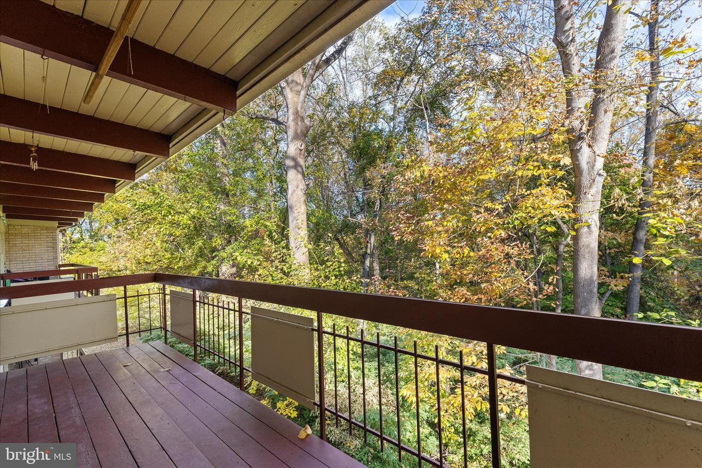 4317 Americana Drive #203 photo 22