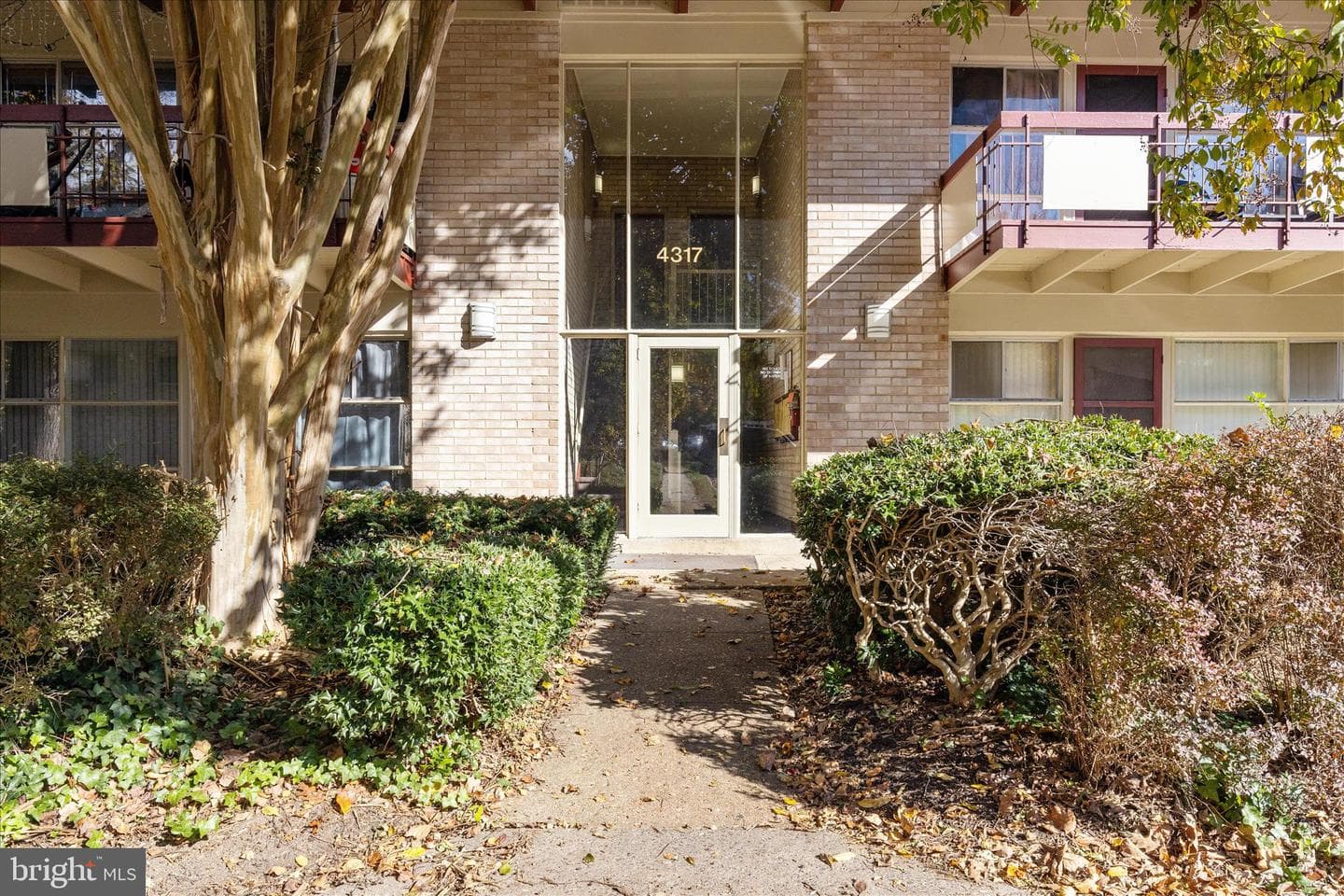 4317 Americana Drive #203 photo 23