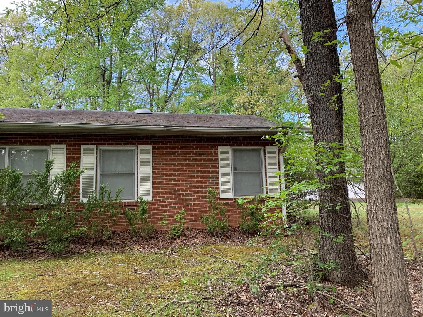 4515 Shirley Gate Road photo 6