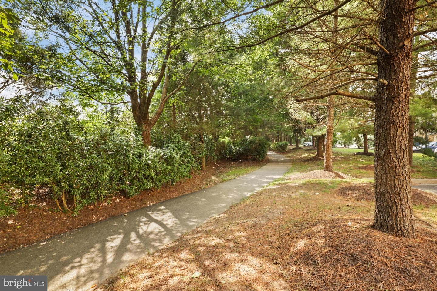 1934 Crescent Park Drive #28-A photo 37