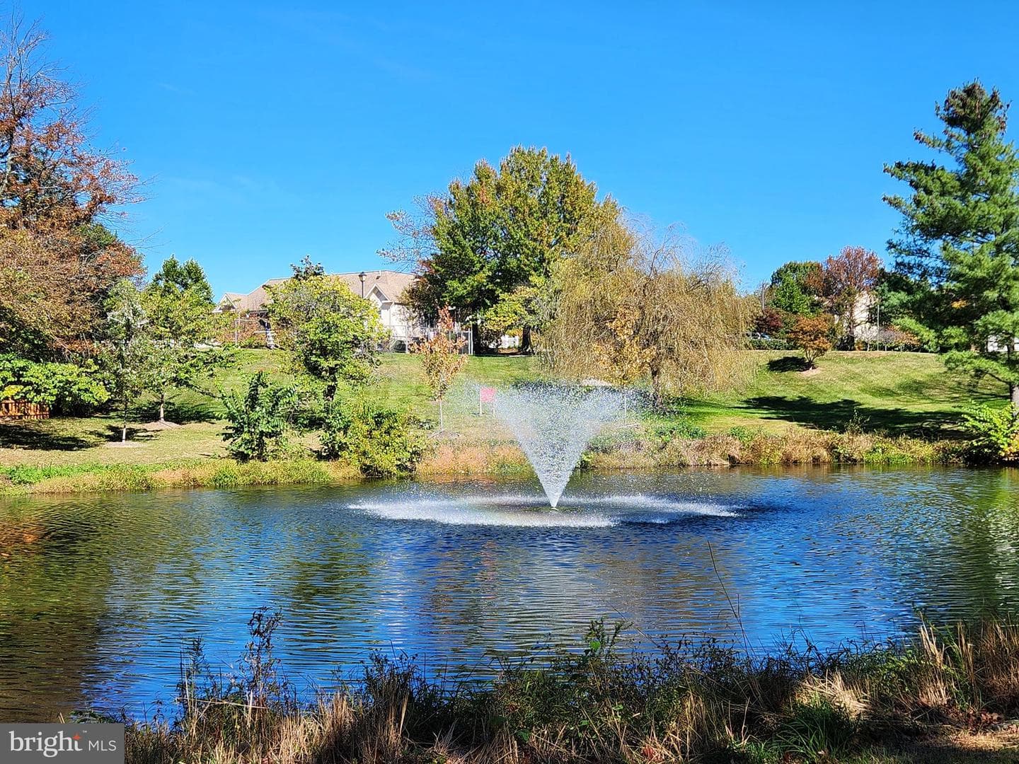 6923 Victoria Drive #k photo 33