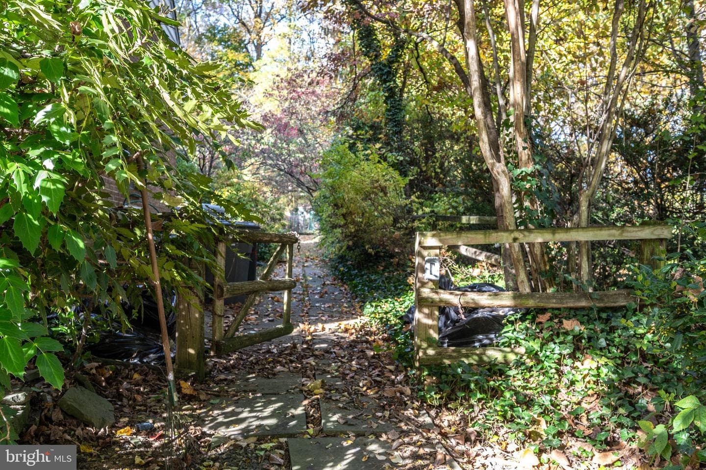 3806 Bent Branch Road photo 63