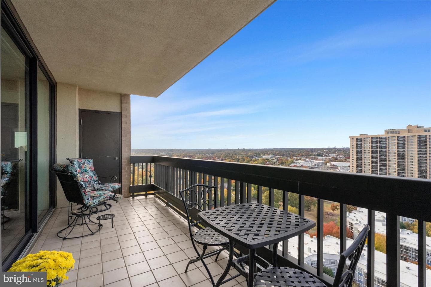 5505 Seminary Road #2205n photo 12