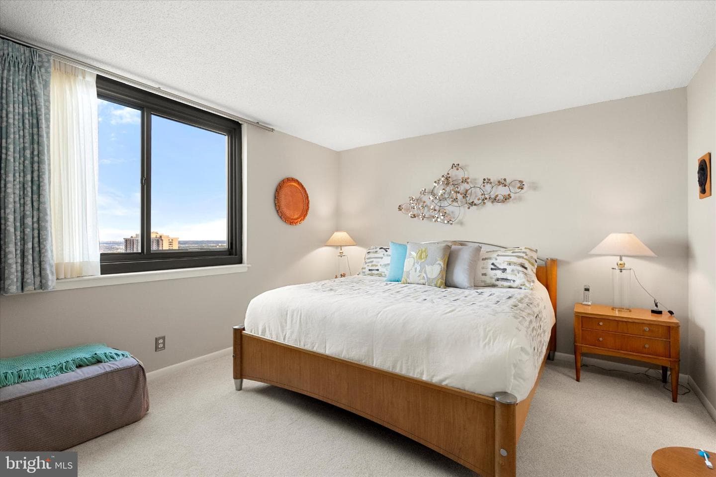 5505 Seminary Road #2205n photo 5