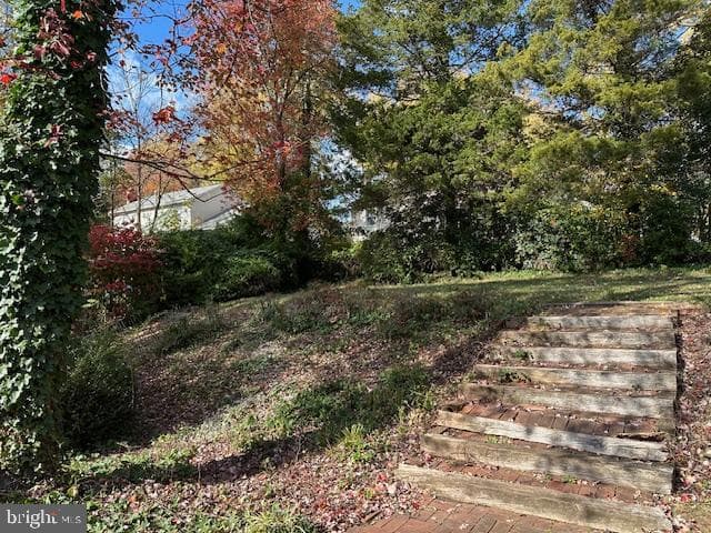 9508 Old Creek Drive photo 23