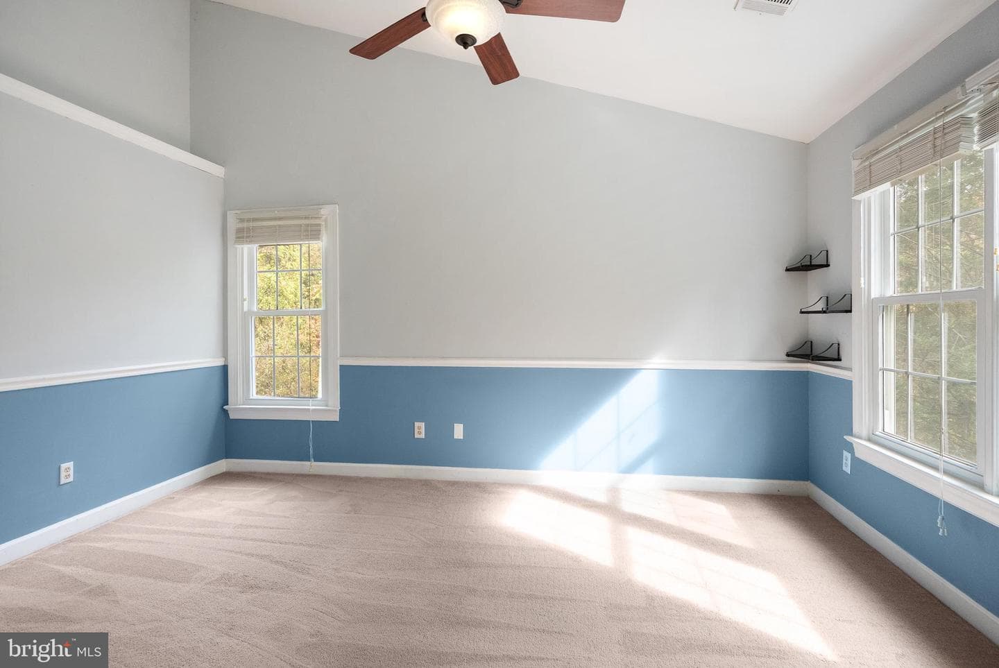 3601 Ransom Place photo 33
