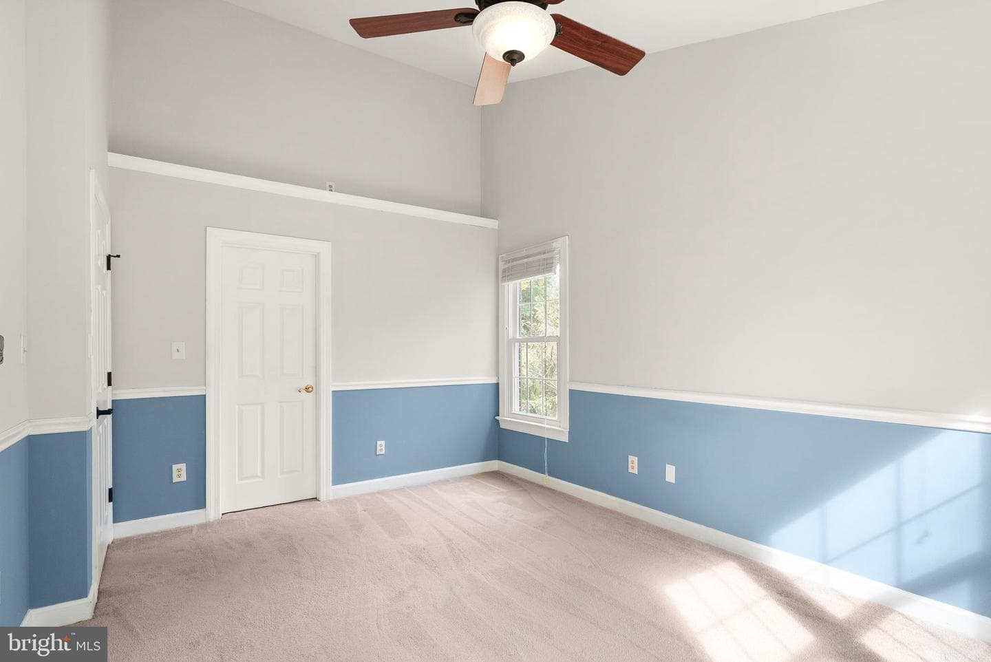 3601 Ransom Place photo 34