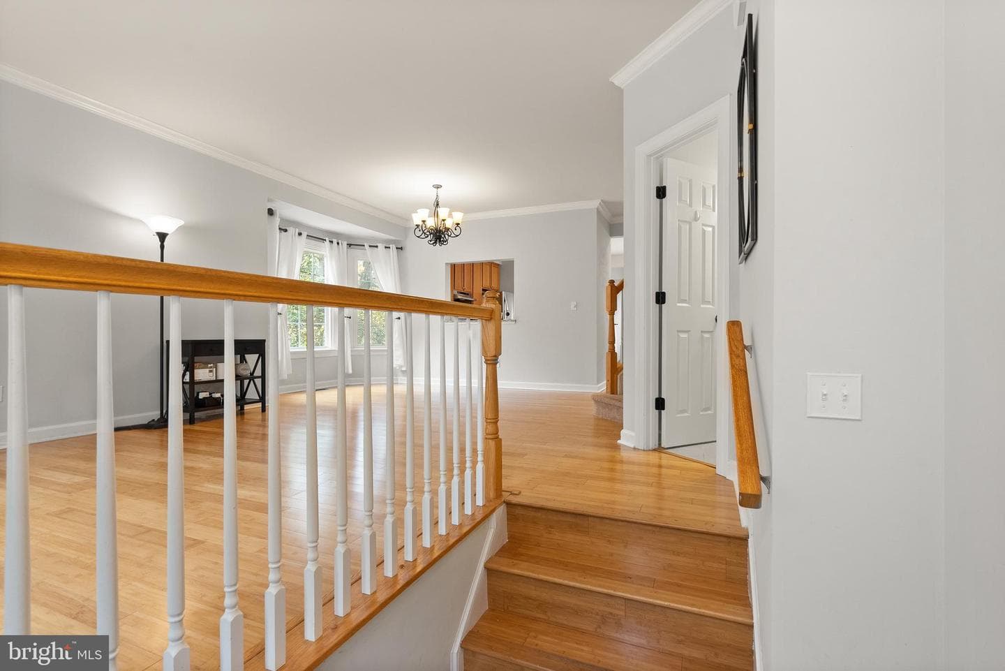 3601 Ransom Place photo 8
