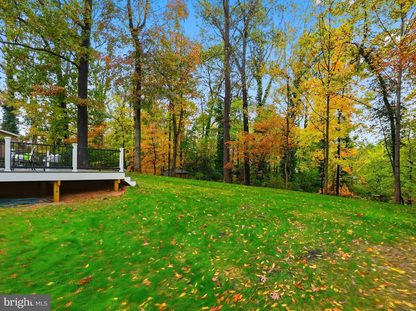 6434 Woodville Drive photo 48