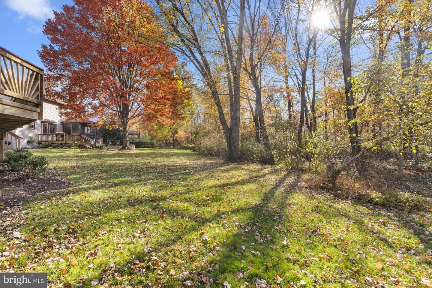 12574 Quincy Adams Court photo 53