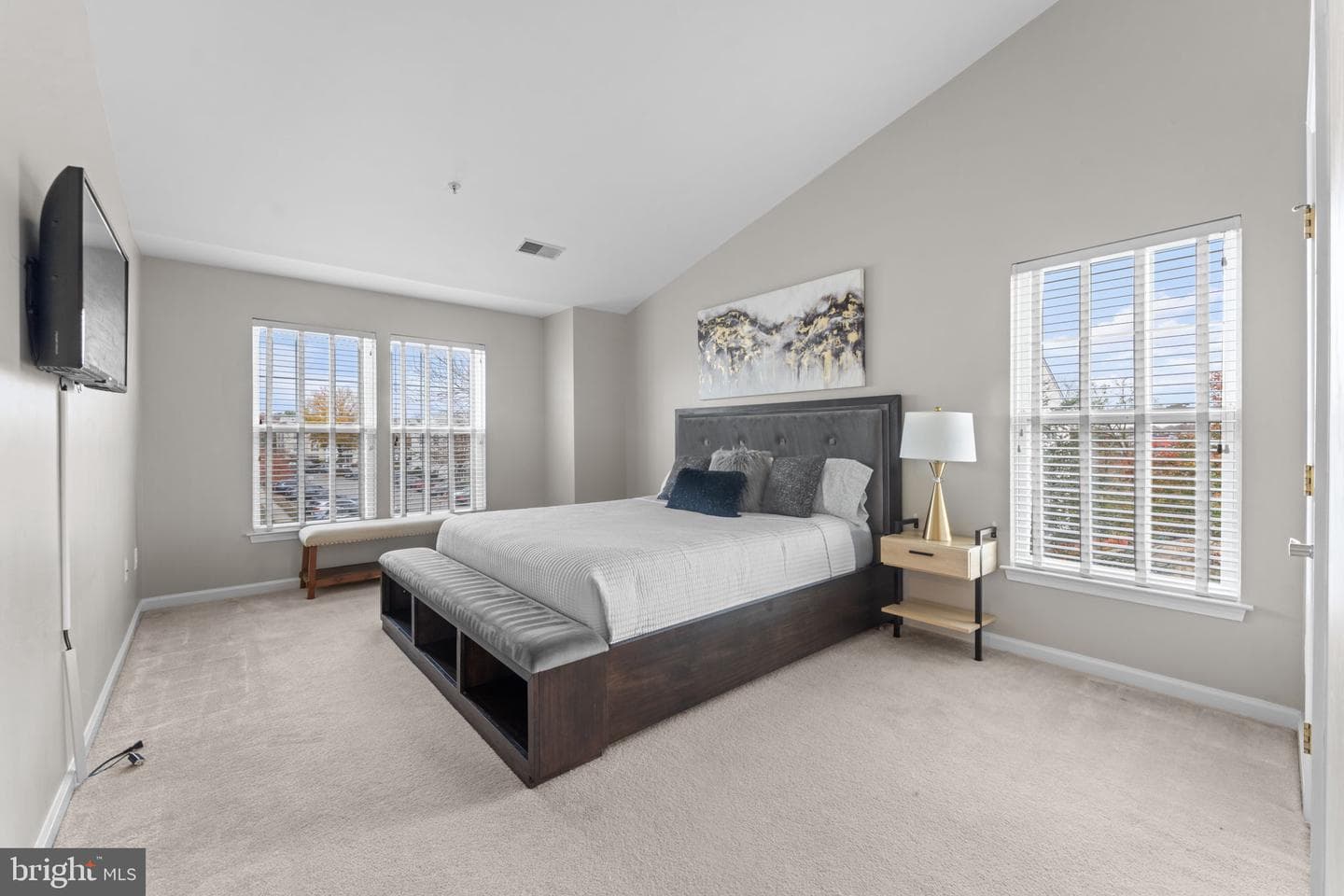 7510 Snowpea Ct Snowpea Court #201 photo 18