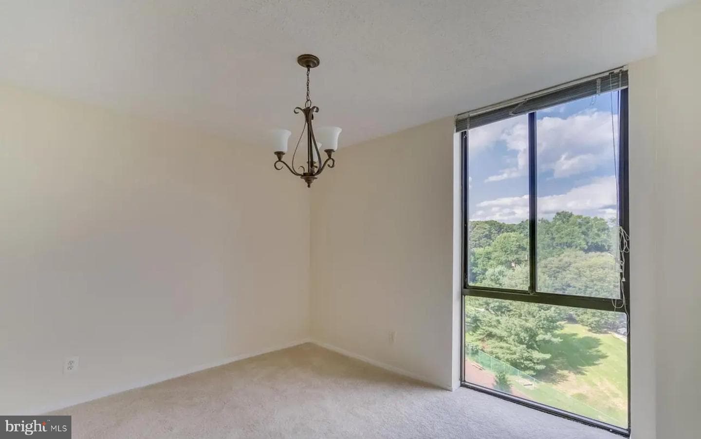 2311 Pimmit Drive #808 photo 12