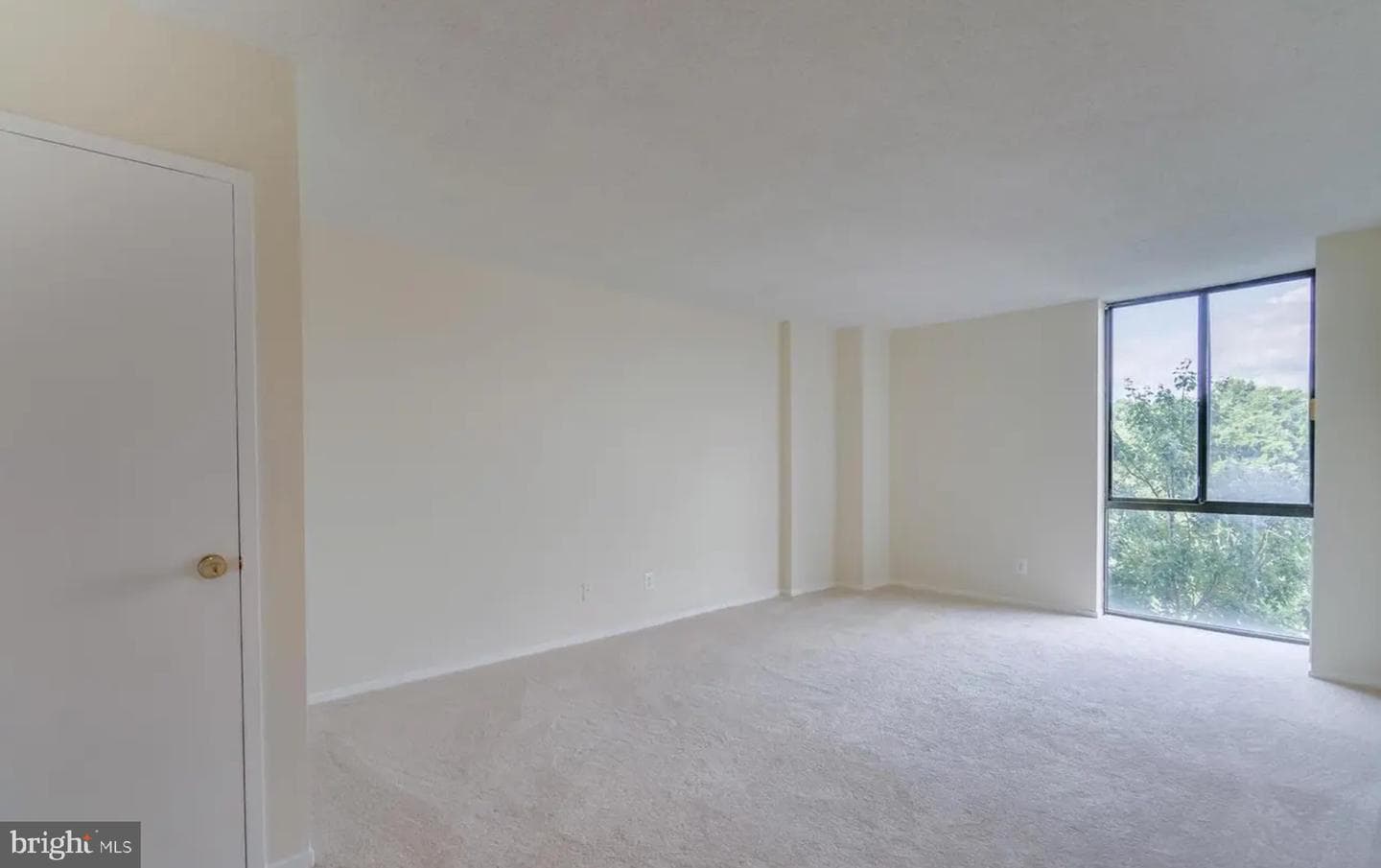 2311 Pimmit Drive #808 photo 20