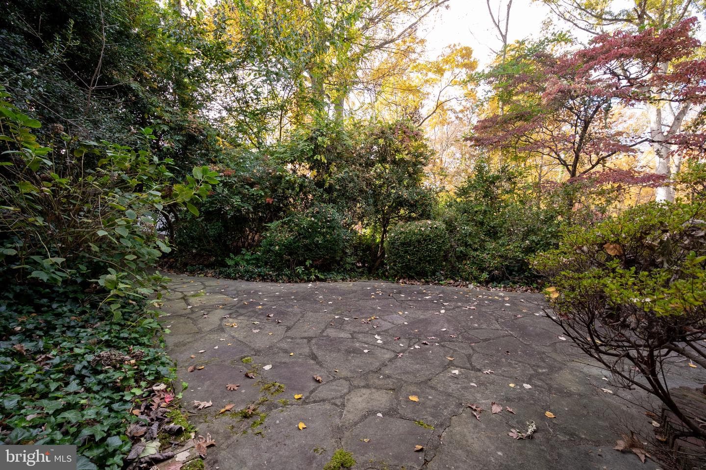 1911 Marthas Road photo 53