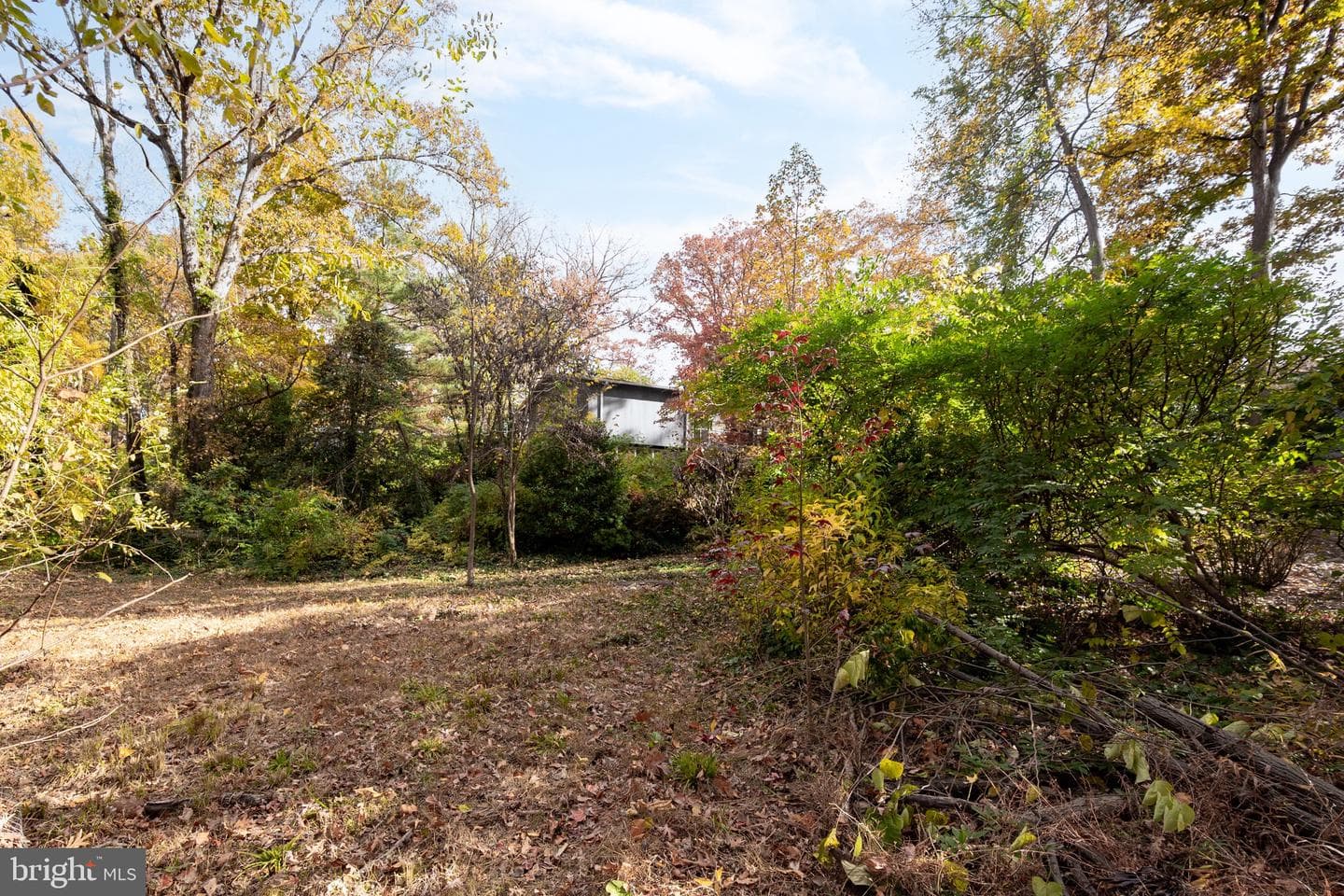 1911 Marthas Road photo 58