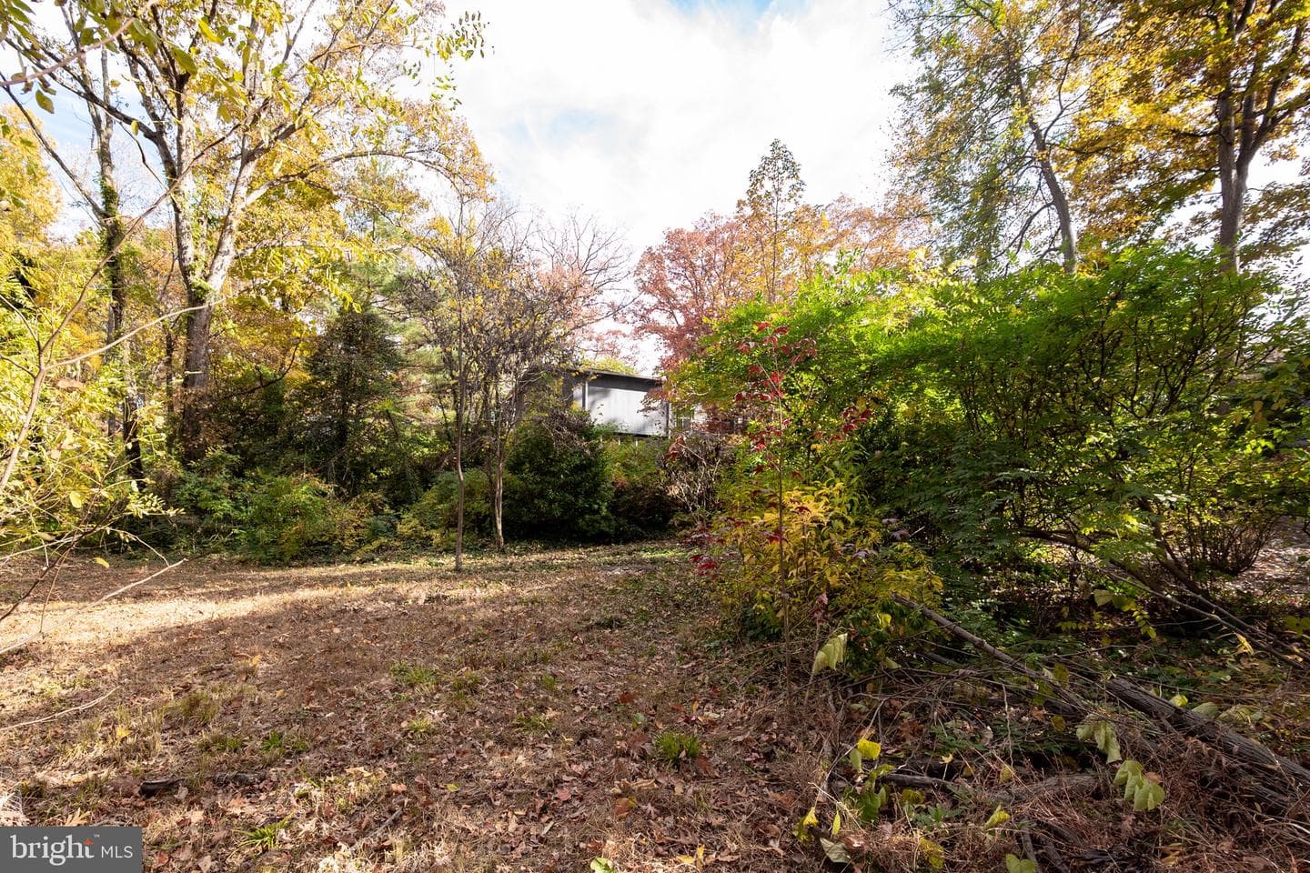 1911 Marthas Road photo 59