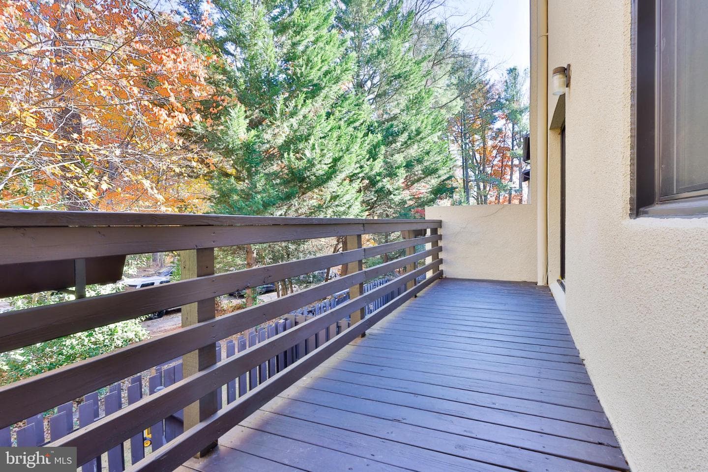 11817 Coopers Court photo 45