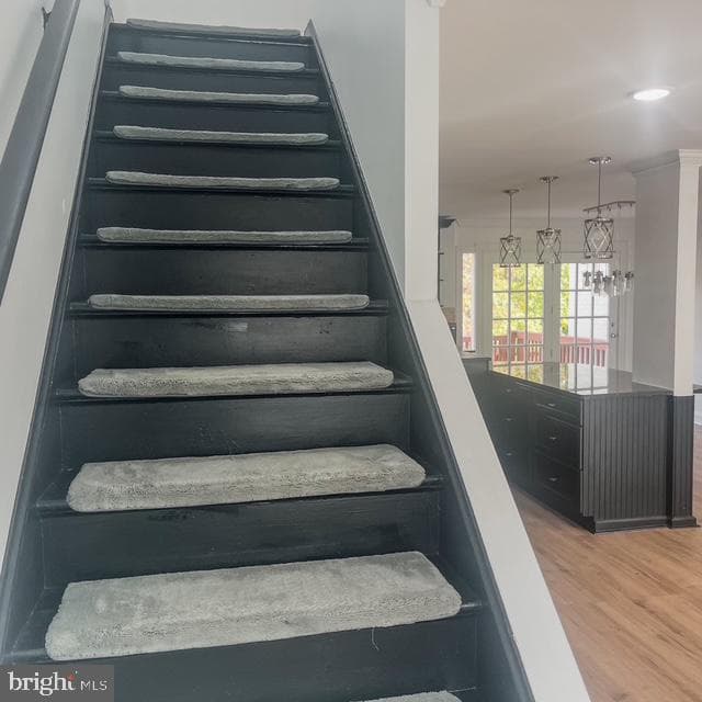 14878 Lambeth Square photo 23