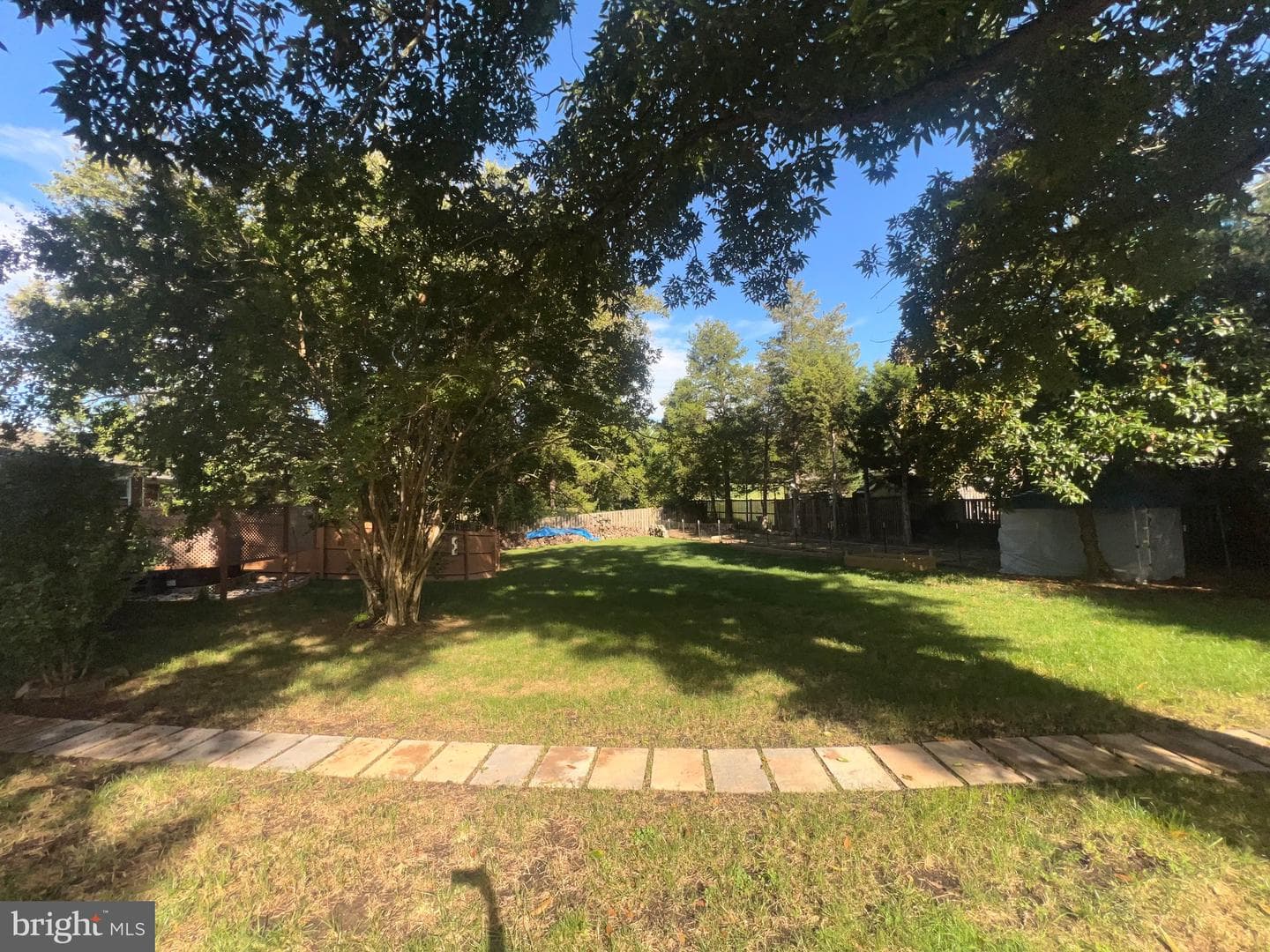 10923 Belmont Boulevard photo 22