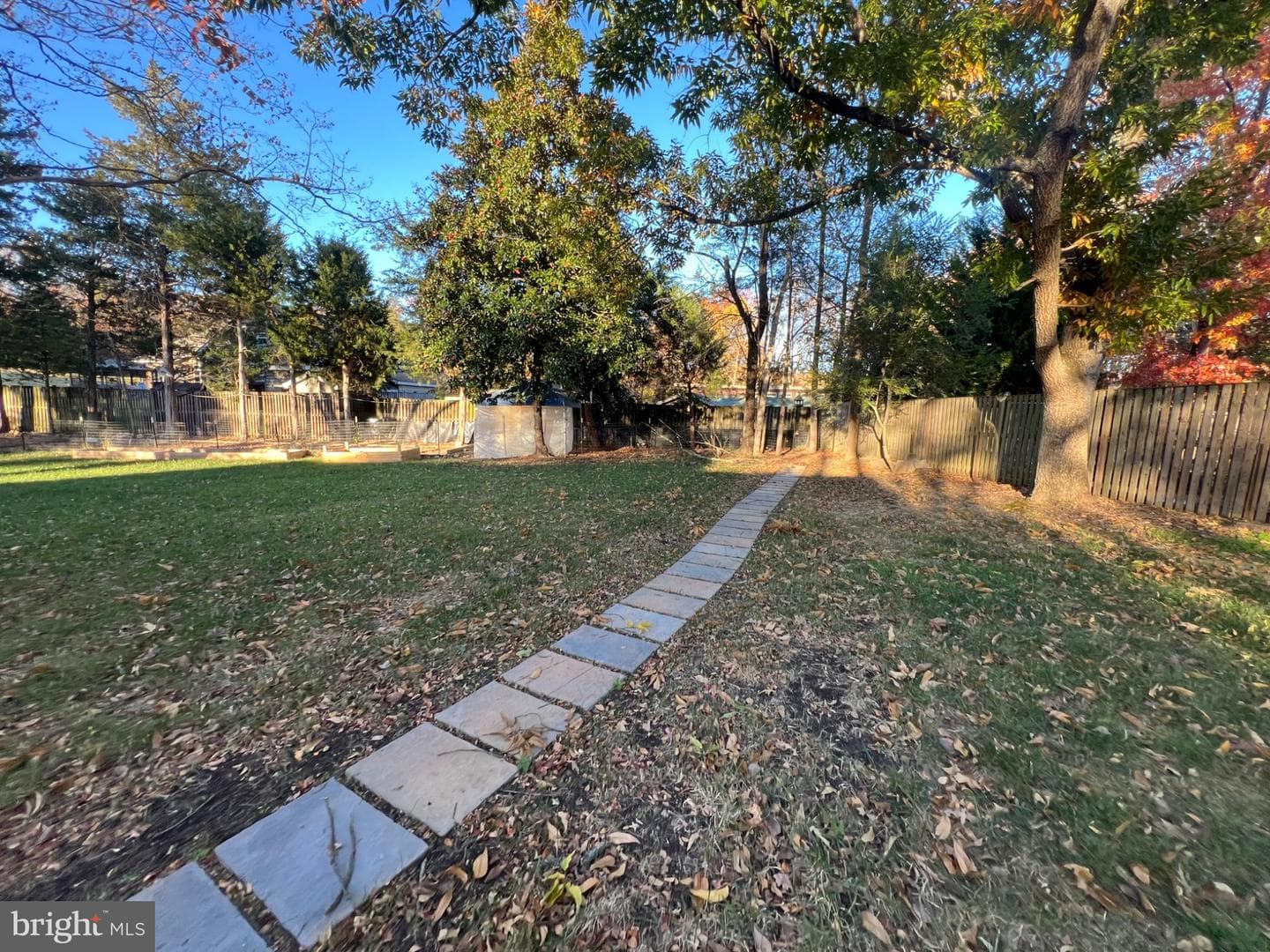 10923 Belmont Boulevard photo 30