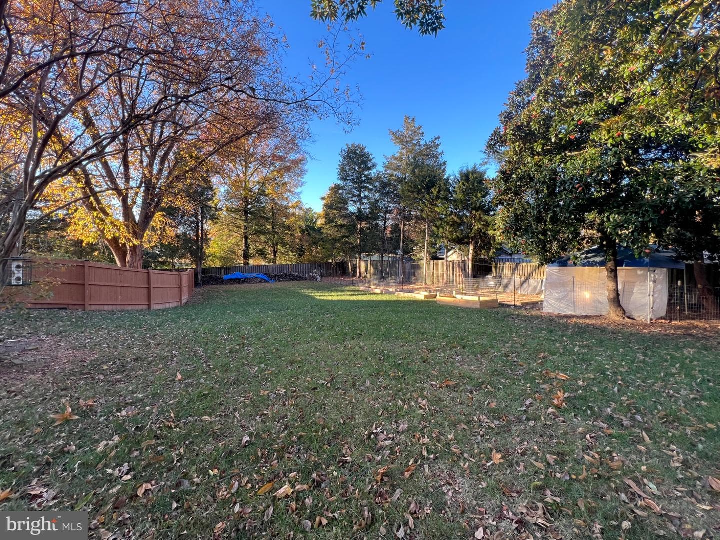 10923 Belmont Boulevard photo 32