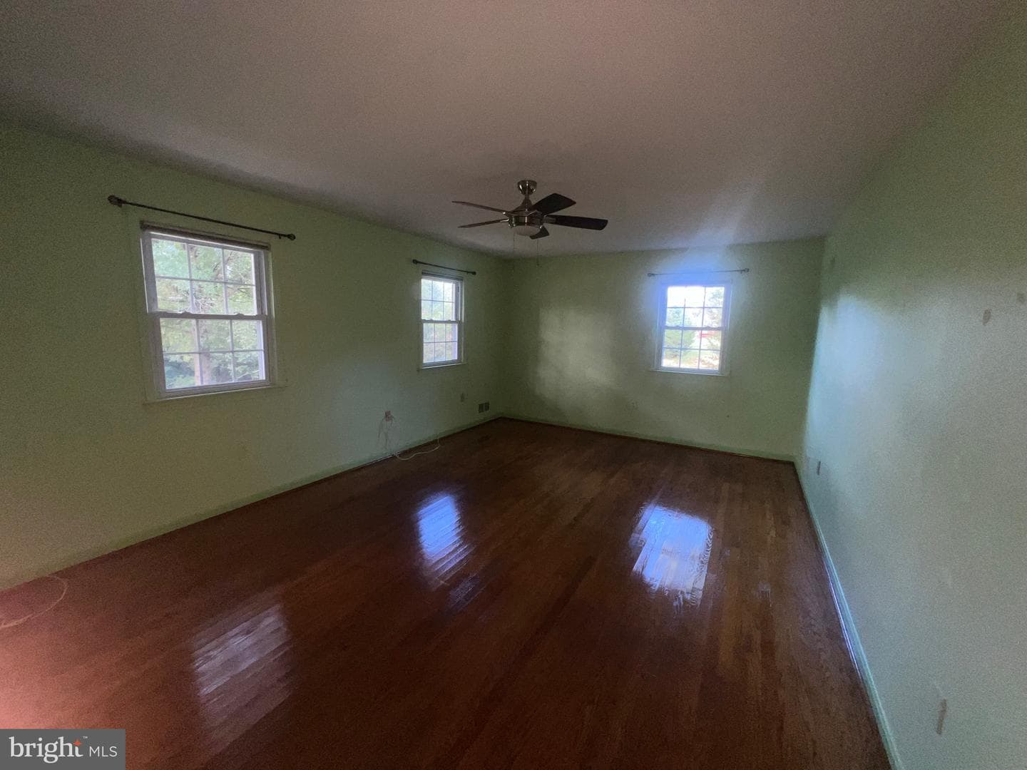 10923 Belmont Boulevard photo 80