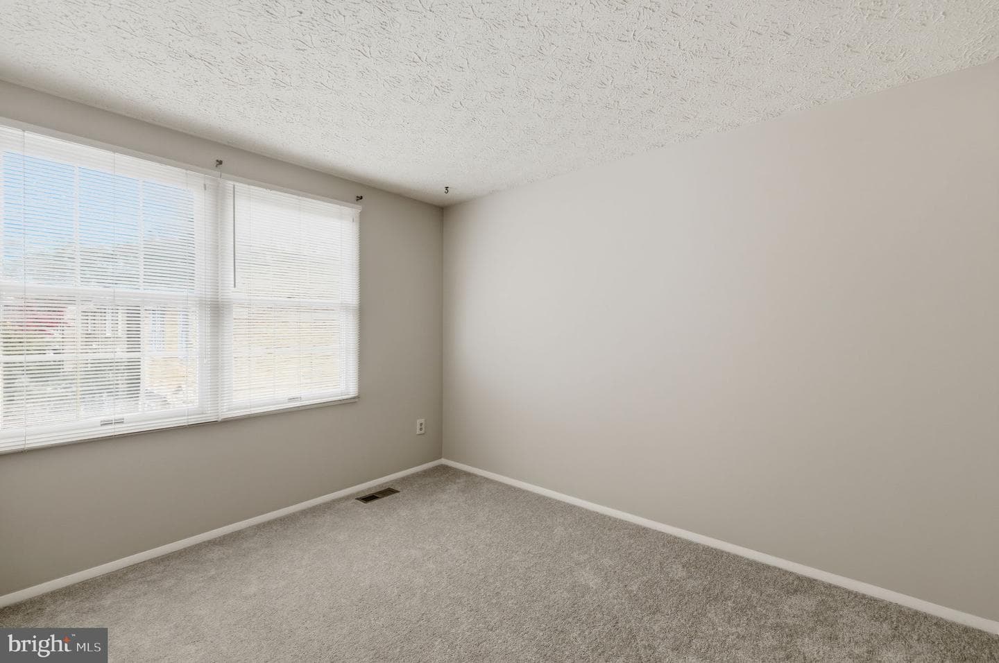 11563 Ivy Bush Court photo 10