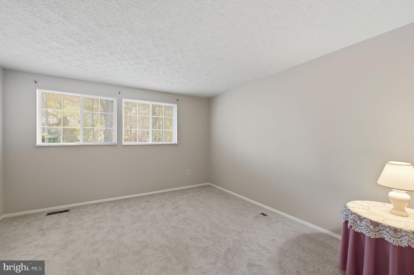 11563 Ivy Bush Court photo 12