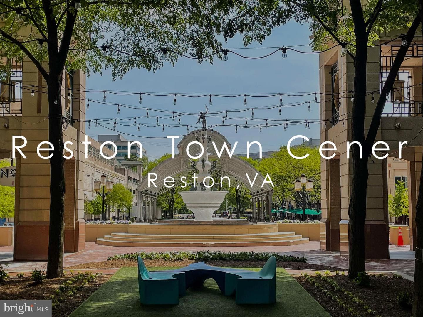 11563 Ivy Bush Court photo 20