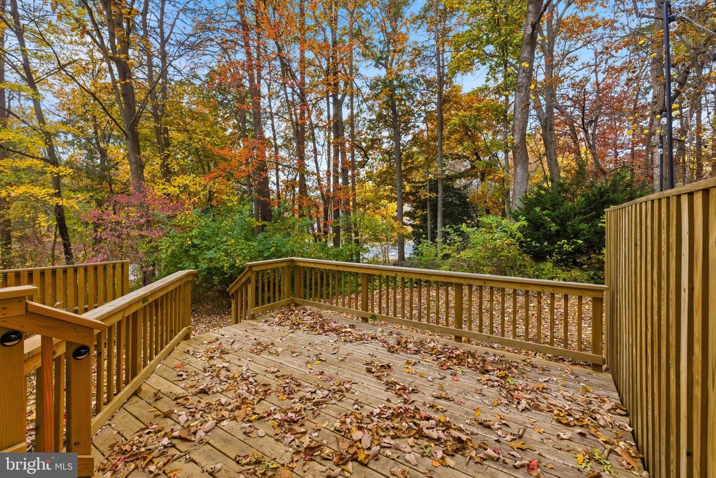 11563 Ivy Bush Court photo 4