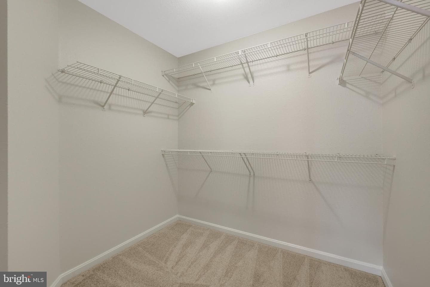 12845 Fair Briar Lane photo 28