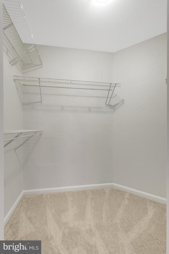 12737 Fair Briar Lane photo 28