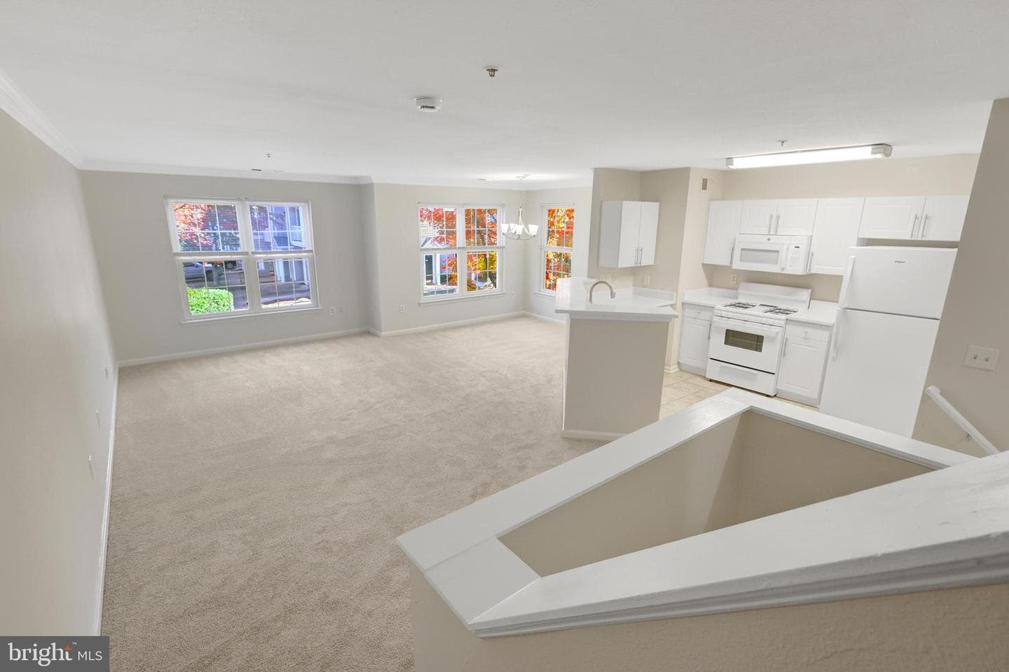 12855 Fair Briar Lane photo 20
