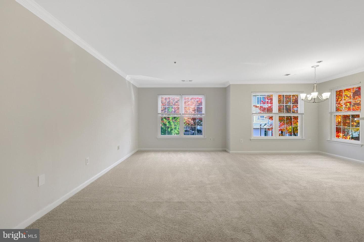 12855 Fair Briar Lane photo 7