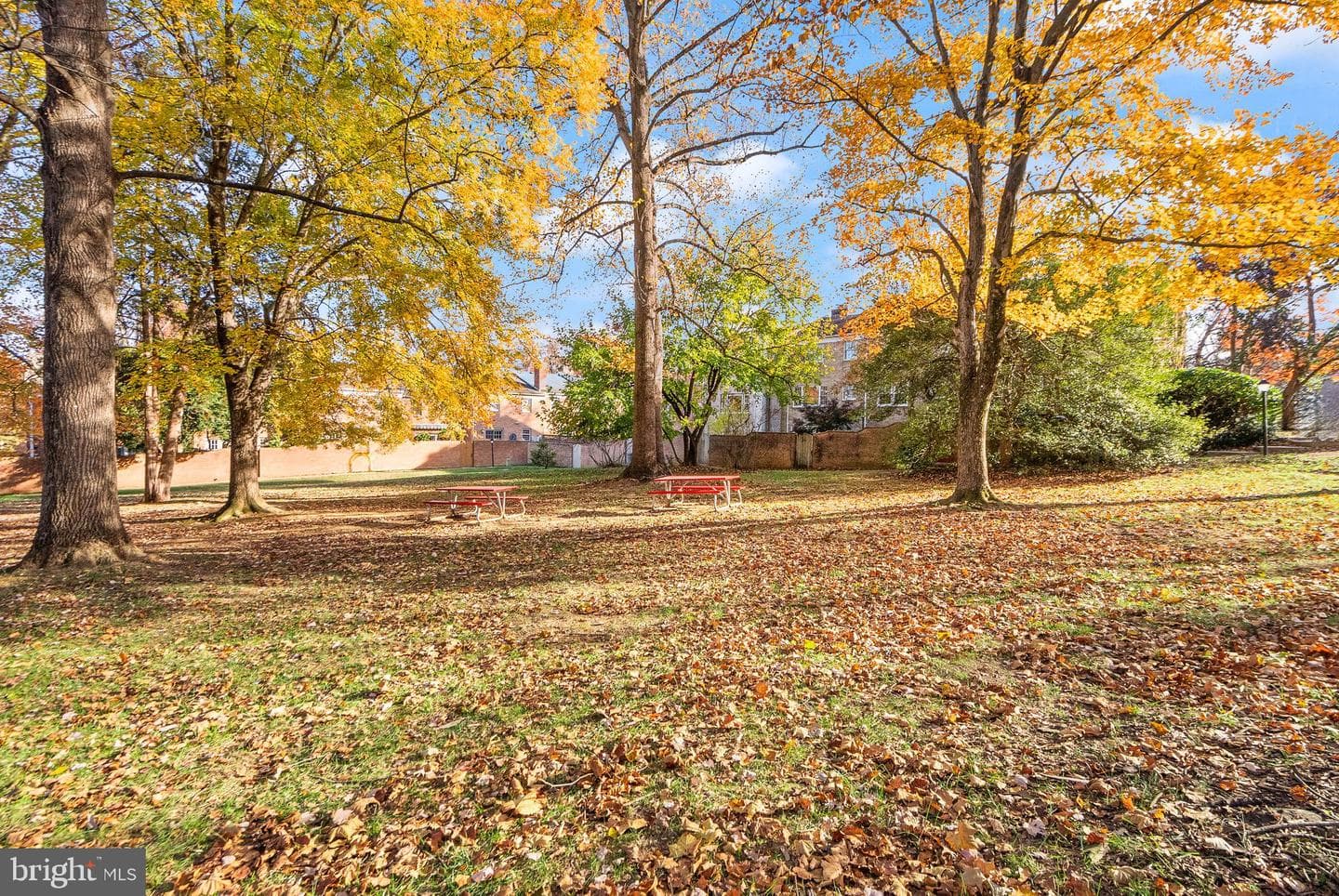 3146 Cantrell Lane photo 70